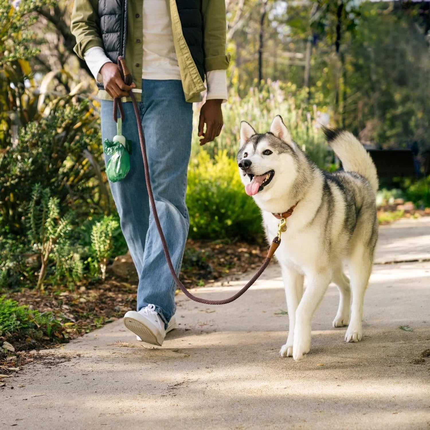 Pets - Top Tier Essentials 
